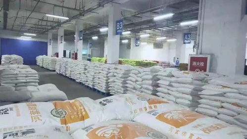 從產(chǎn)地到餐桌 科爾沁區(qū)餐飲管理新模式